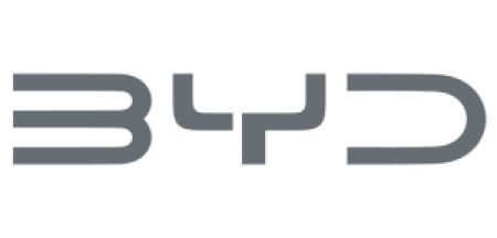 Logo BYD Palu